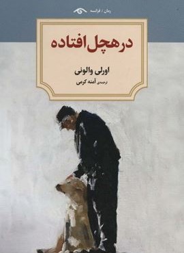 در هچل افتاده (دیدآور)