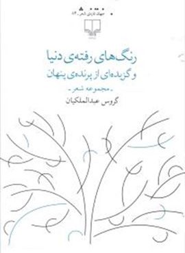 رنگ های رفته دنیا (چشمه)