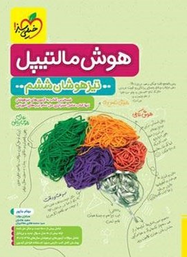 هوش مالتیپل تیزهوشان ششم (خیلی سبز) 1404