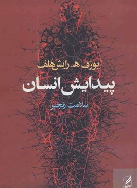 پیدایش انسان (آگه)
