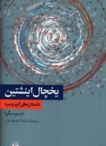 يخچال اينشتين (فرهنگ معاصر)