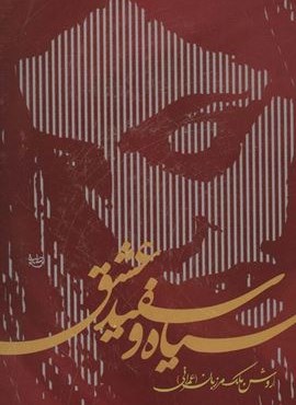 سیاه و سفید عشق (نشر علم)