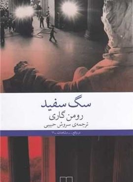 سگ سفید (چشمه)