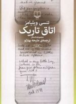 اتاق تاریک (چشمه)