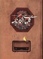 گلهای رنگارنگ (پیکان)
