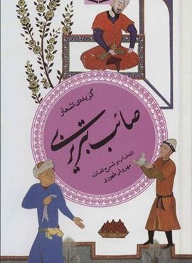 گزیده ی اشعار صائب تبریزی (گزینه سخن پارسی 17)(قدیانی)