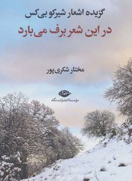 در این شعر برف می بارد (گزیده اشعار شیرکو بی کس)(نگاه)