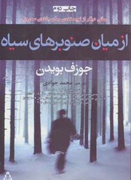 از میان صنوبرهای سیاه (افراز)