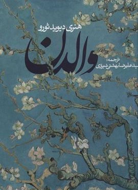 والدن (روزنه)