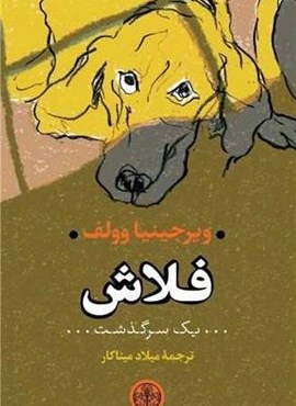 فلاش (پارسه)