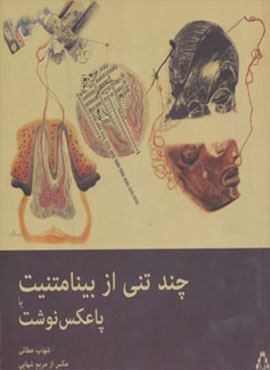 چند تنی از بینامتنیت یا پاعکس نوشت (گلاسه)(افراز)