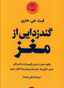 گندزدایی از مغز (پارسه)