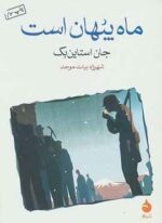 ماه پنهان است (ماهی)
