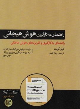 راهنمای به کارگیری هوش هیجانی (که به کارتان می آید)(هورمزد)