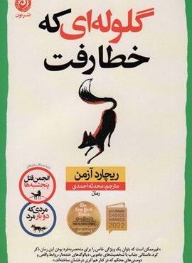 گلوله ای که خطا رفت (نون)