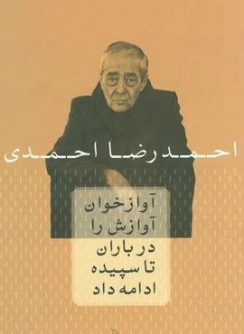 آوازخوان آوازش را در باران تا سپیده ادامه داد (چلچله)