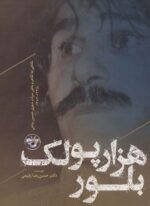 هزار پولک بلور:نگاهی به ظاهر و باطن میراث شعری حسین پناهی (1335-1383)(آناپنا)