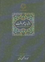 چشیدن طعم وقت (از میراث عرفانی ابوسعید ابوالخیر)(سخن)