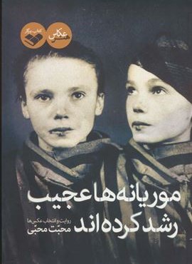 موریانه ها عجیب رشد کرده اند (گلاسه)(کتاب پرگار)