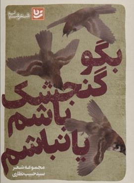 بگو گنجشک باشم یا نباشم (شعر شباب29)(گویا)