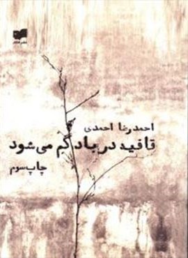 قافیه در باد گم می شود (افکار)