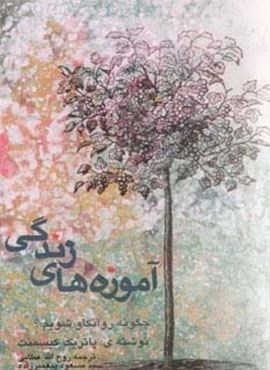 آموزه های زندگی (چگونه روانکاو شویم)(شباهنگ)
