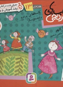 کتاب های نارنجی،هفته ی13 (کاسه های پرنده و 6 قصه ی دیگر)(گلاسه)(قدیانی)