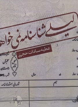 لیلی شناسنامه نمی خواهد (نیستان)