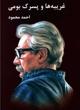 غریبه‌ها و پسرک بومی (معین)