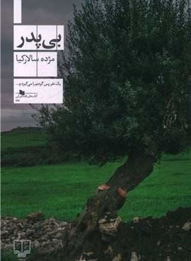 بی پدر (چشمه) بی پدر (چشمه)