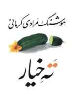 ته خیار (معین)