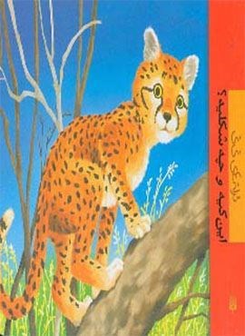 ترانه های نی نی (این کیه و چه شکلیه؟)(پیدایش)