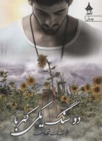 دو سنگ یکی کهربا (2جلدی)(آراسبان)