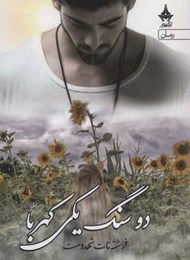 دو سنگ یکی کهربا (2جلدی)(آراسبان)