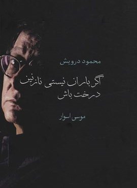 اگر باران نیستی نازنین درخت باش (سخن)