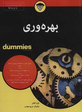 بهره وری (کتاب های دامیز)(آوند دانش)