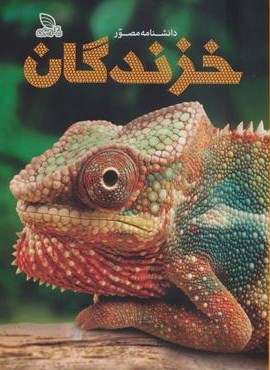 دانشنامه مصور خزندگان (گلاسه)(برگ زیتون)